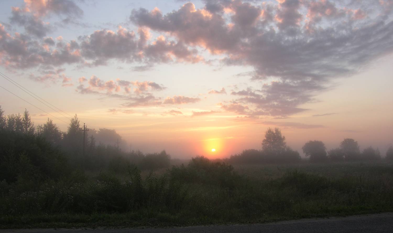 Photo #8865253