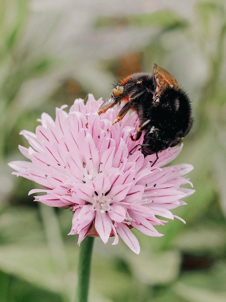 Photograph by Екатерина Бердутина