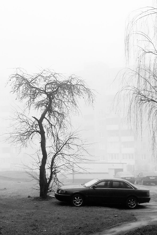 Photograph by Леликов-Кузьменко Владимир