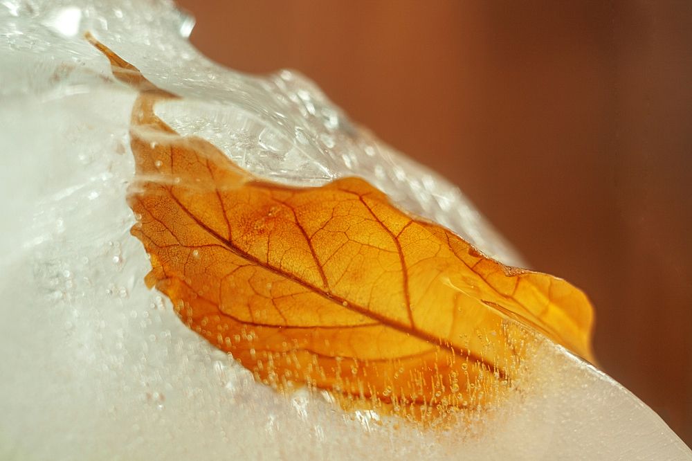 Фотография автора Валерий Елистратов