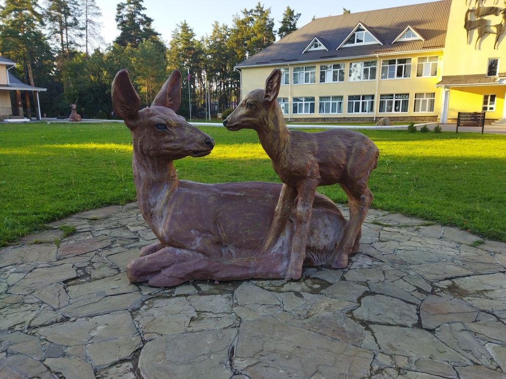 Photograph by Наталья Конюхова