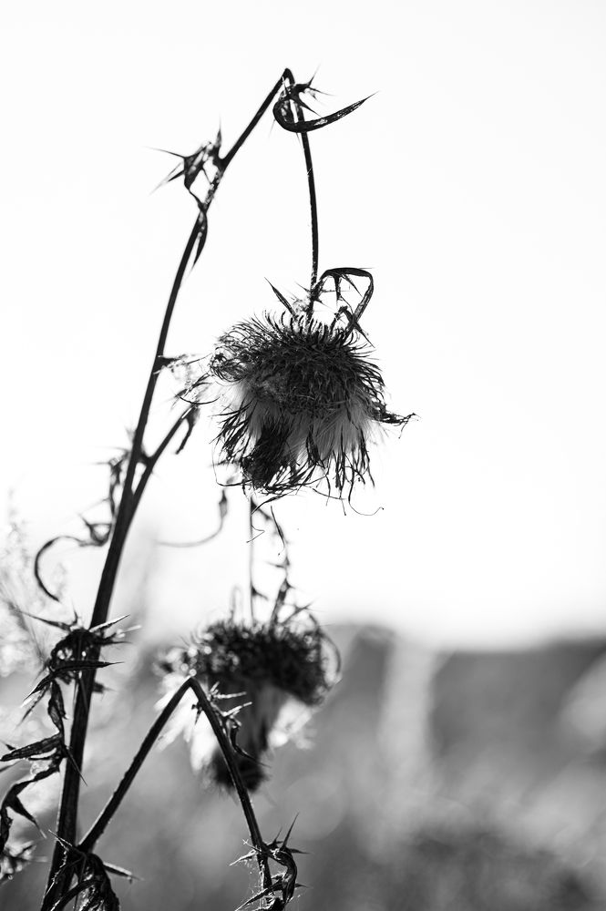 Photograph by Ольга Решетникова