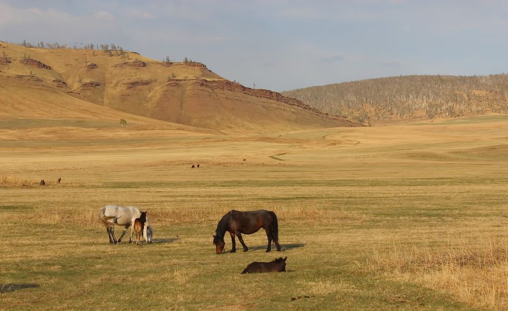 Photograph by Наталья Юрова