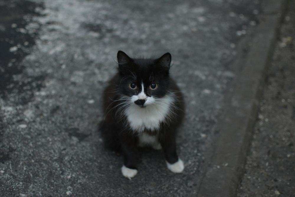 Photograph by Ольга Монаенкова