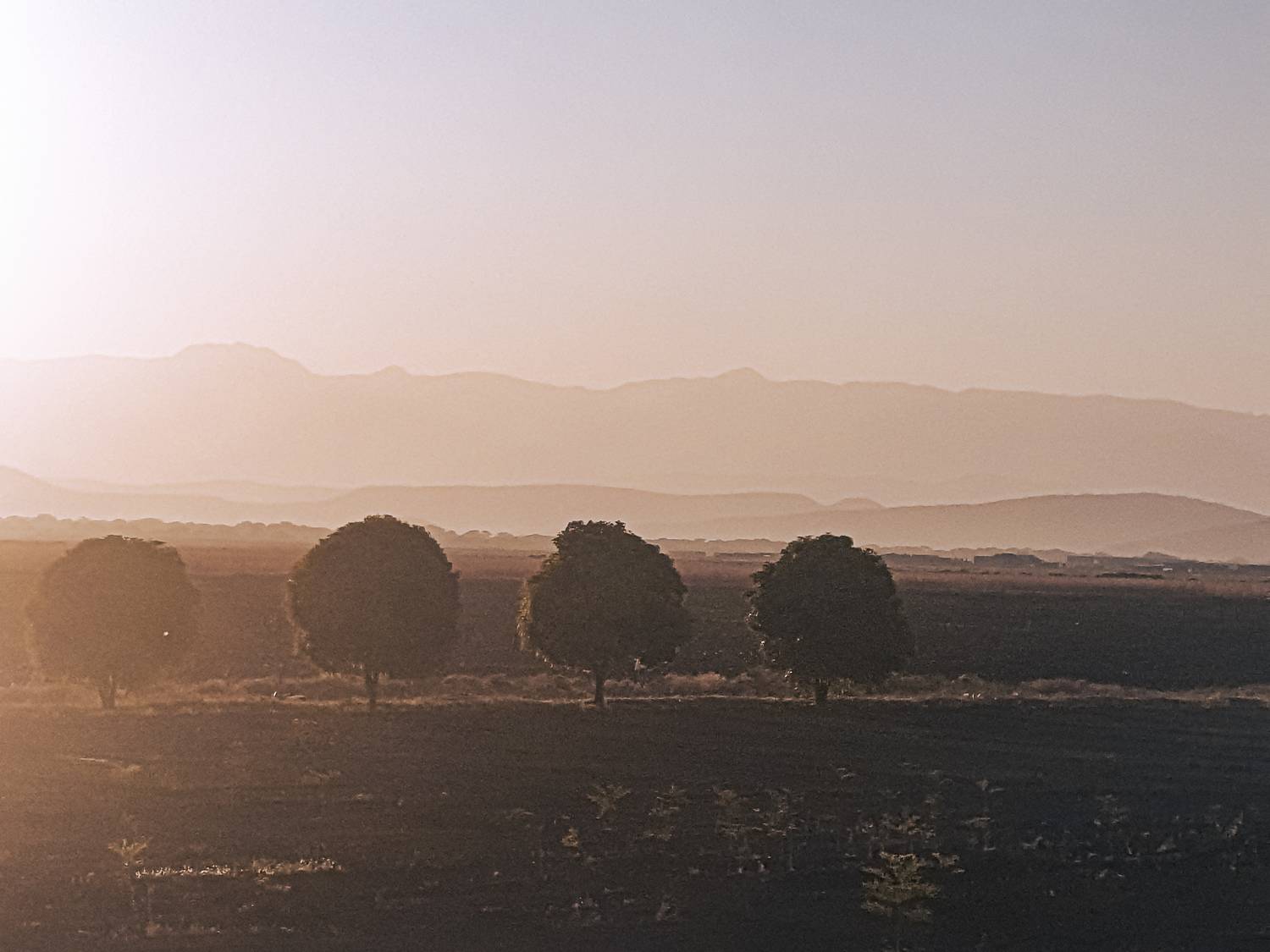 Photo #8865413