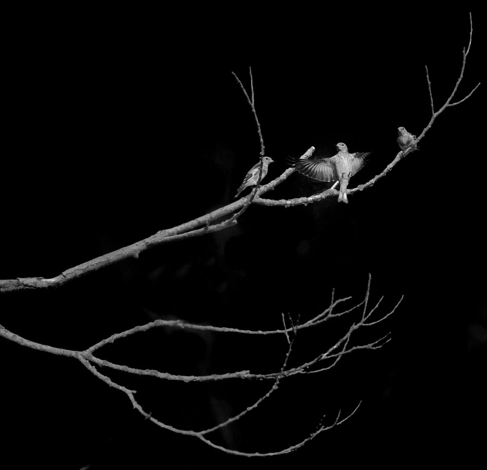 Photograph by Елена