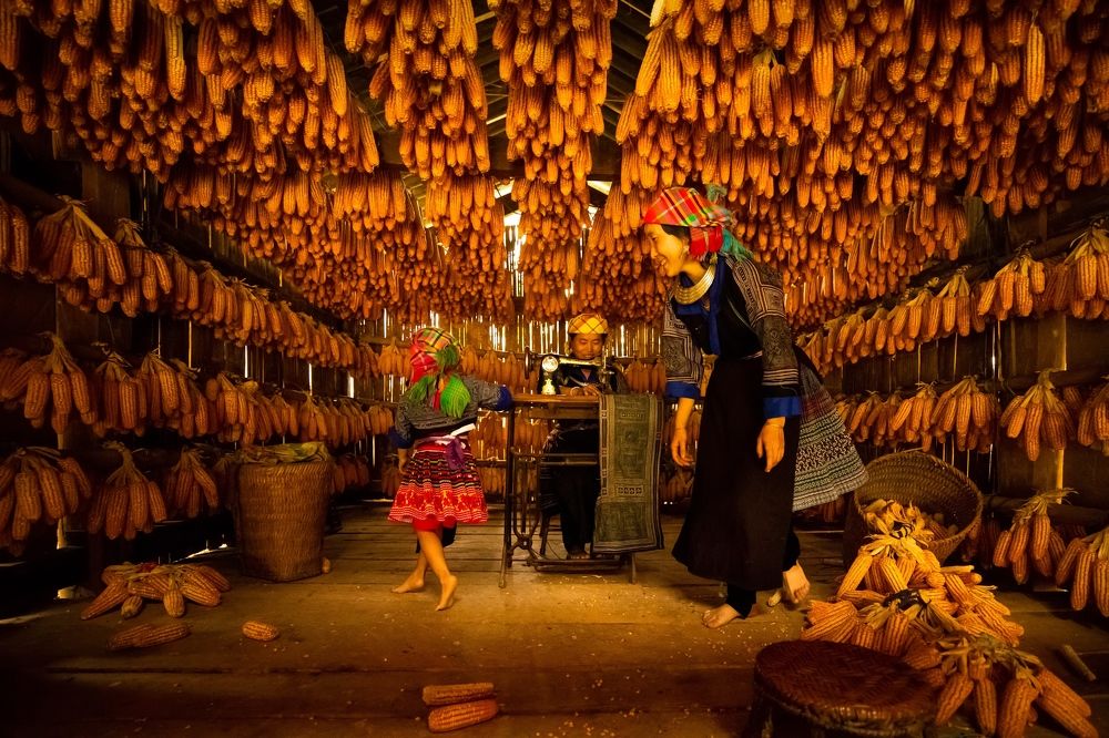 Daily life of a family of H'Mong ethnic people