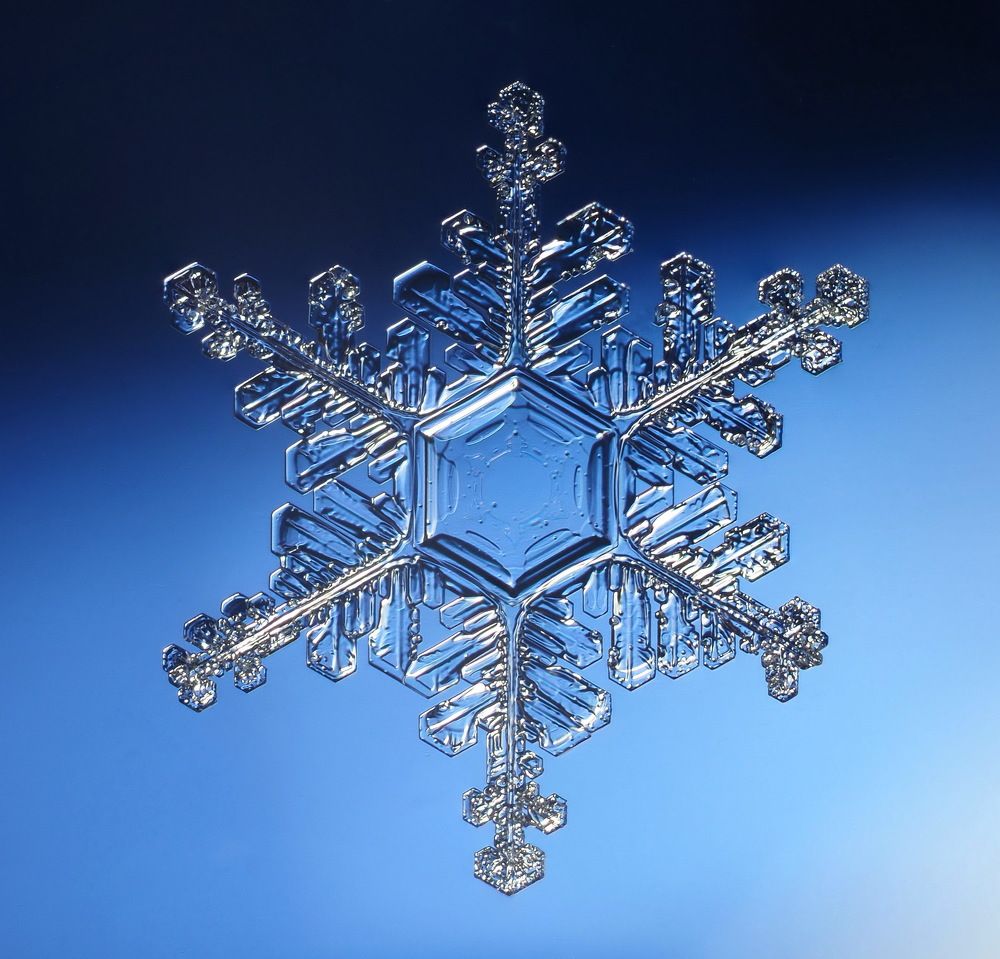 Снежинка февраля