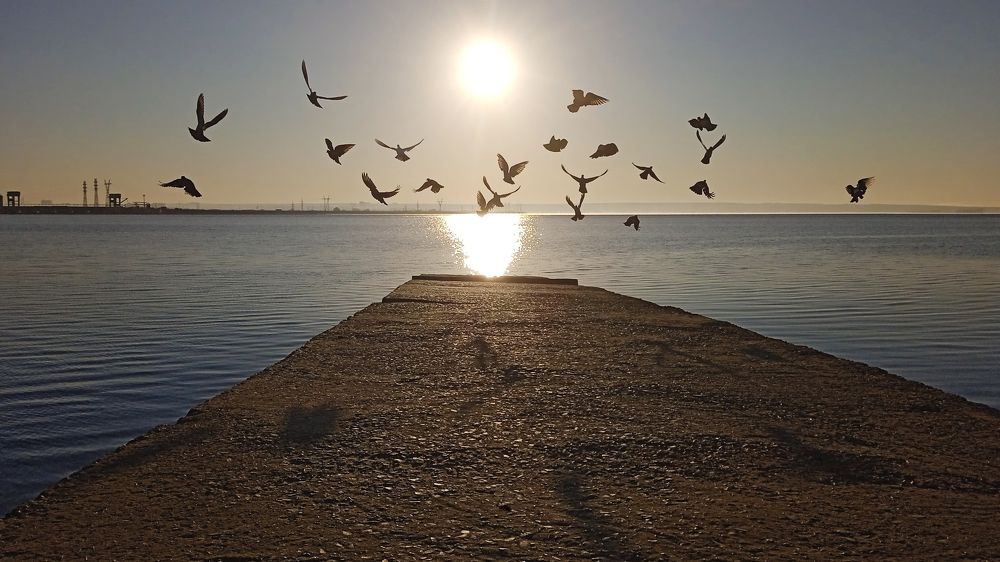 Одно утро на искусственном море