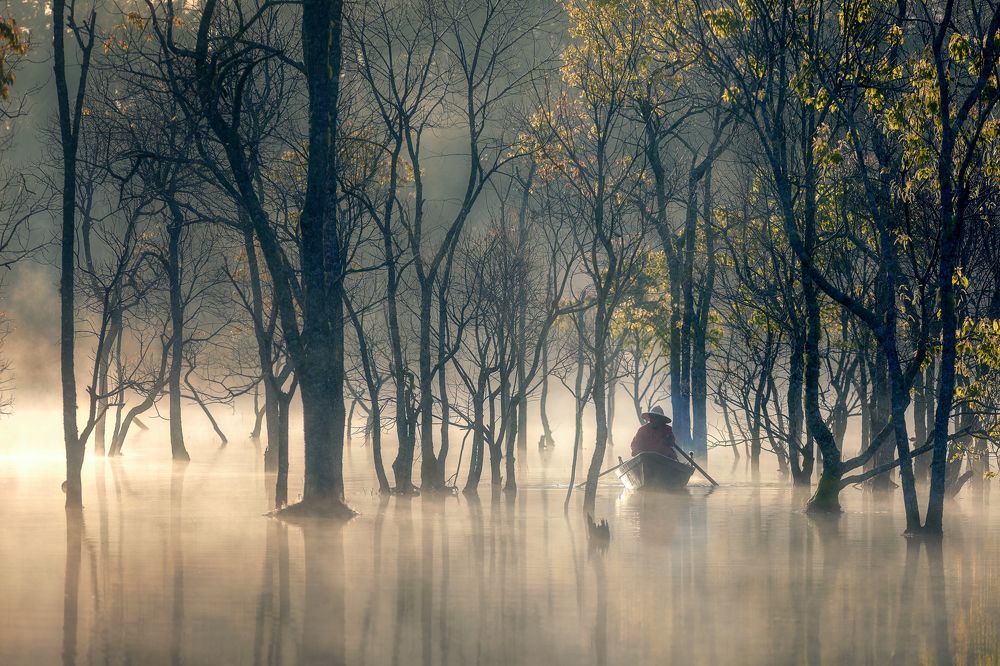 Photograph by Tuấn Nguyễn Tấn