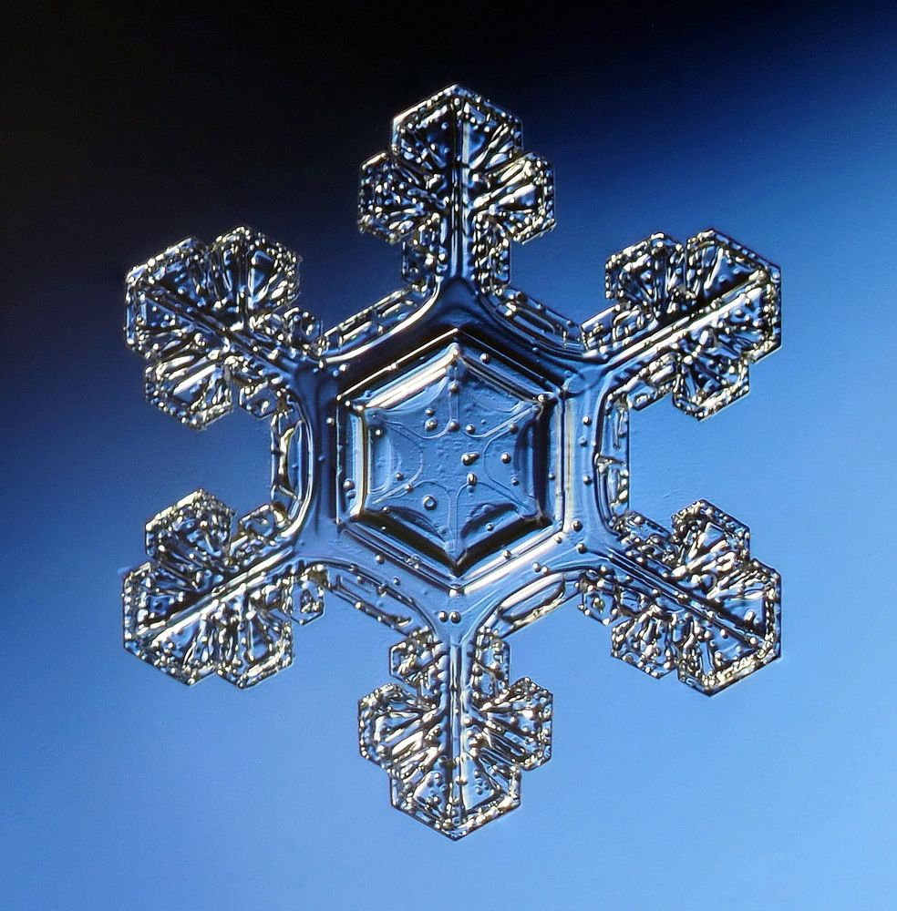 Творение природы