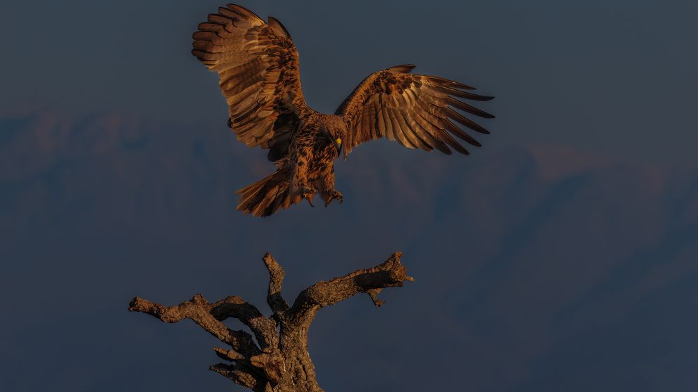 Photograph by Ruzdi Ekenheim