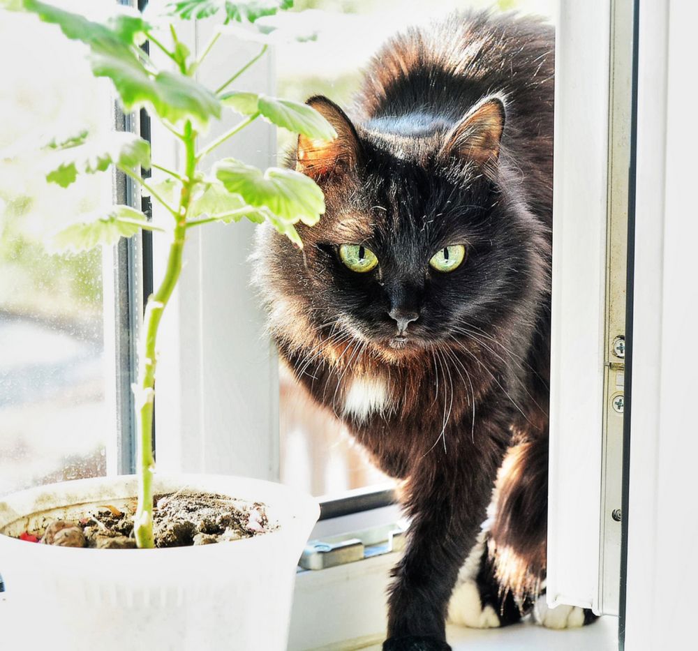 Photograph by Вадим Качанов