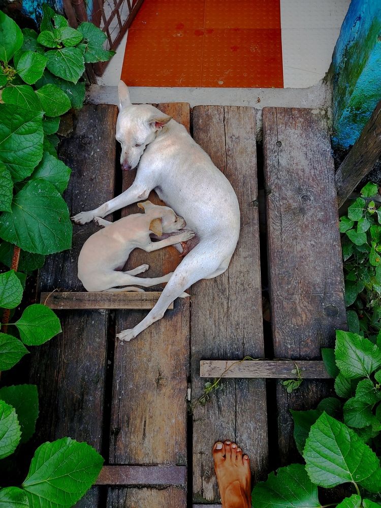 Photo #8865604