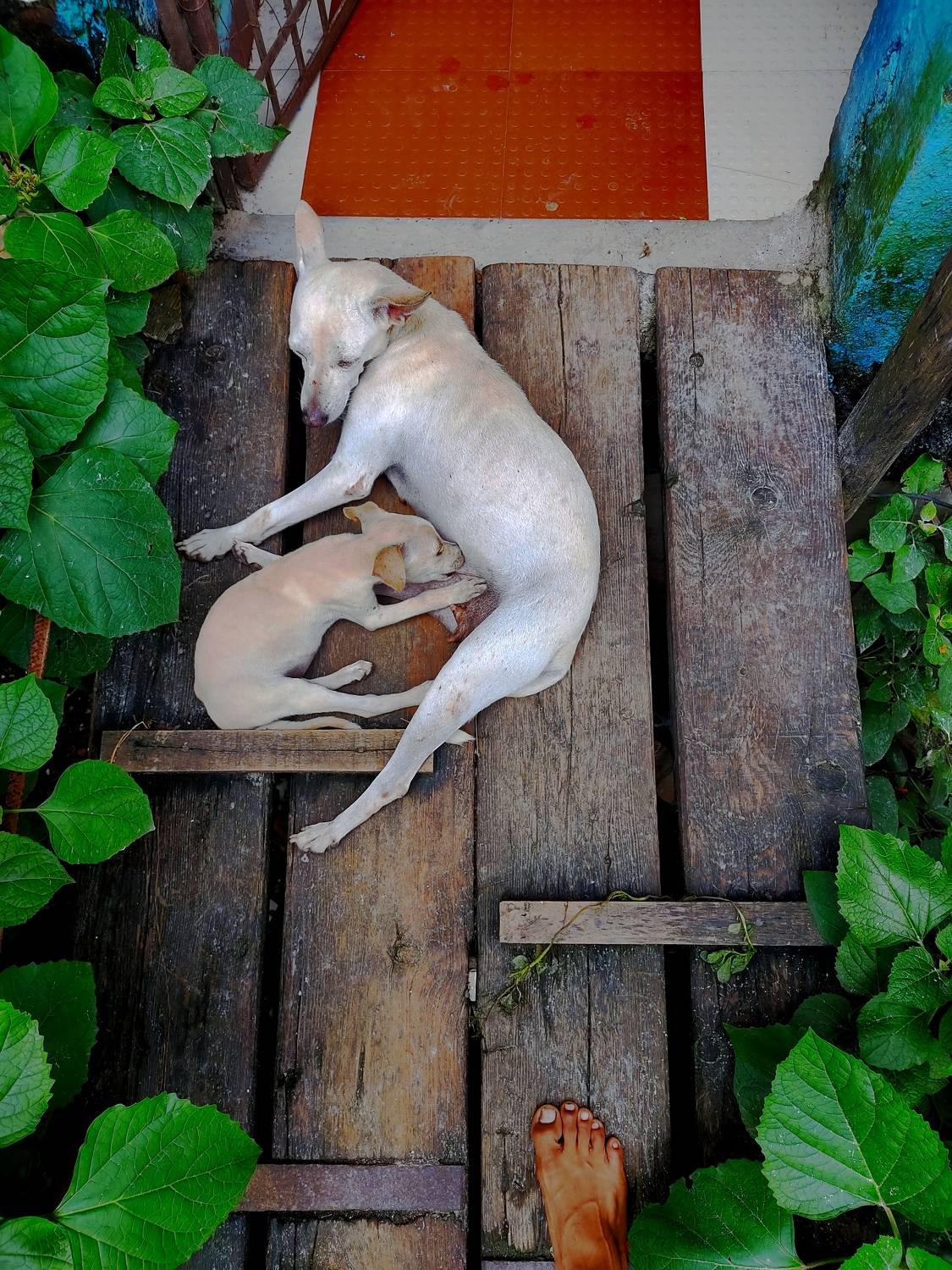 Photo #8865604
