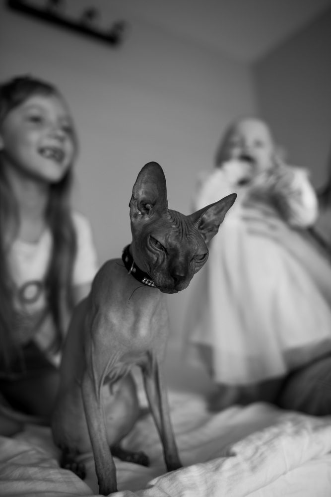 Photograph by Екатерина Гайдук