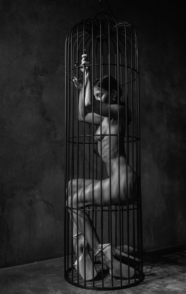 Свобода в клетке