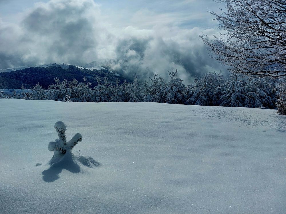 Photograph by Dafinka Sokoloska