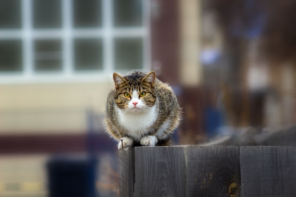 Photograph by Александр Канцур