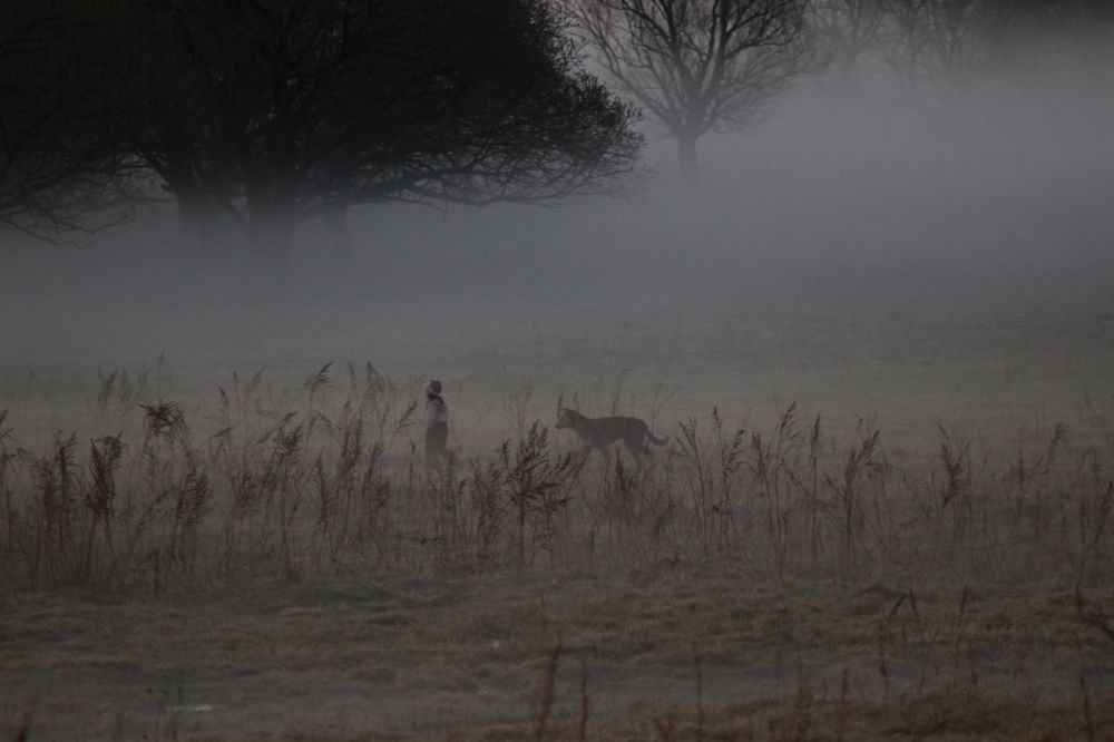 Photograph by Анастасия Горян