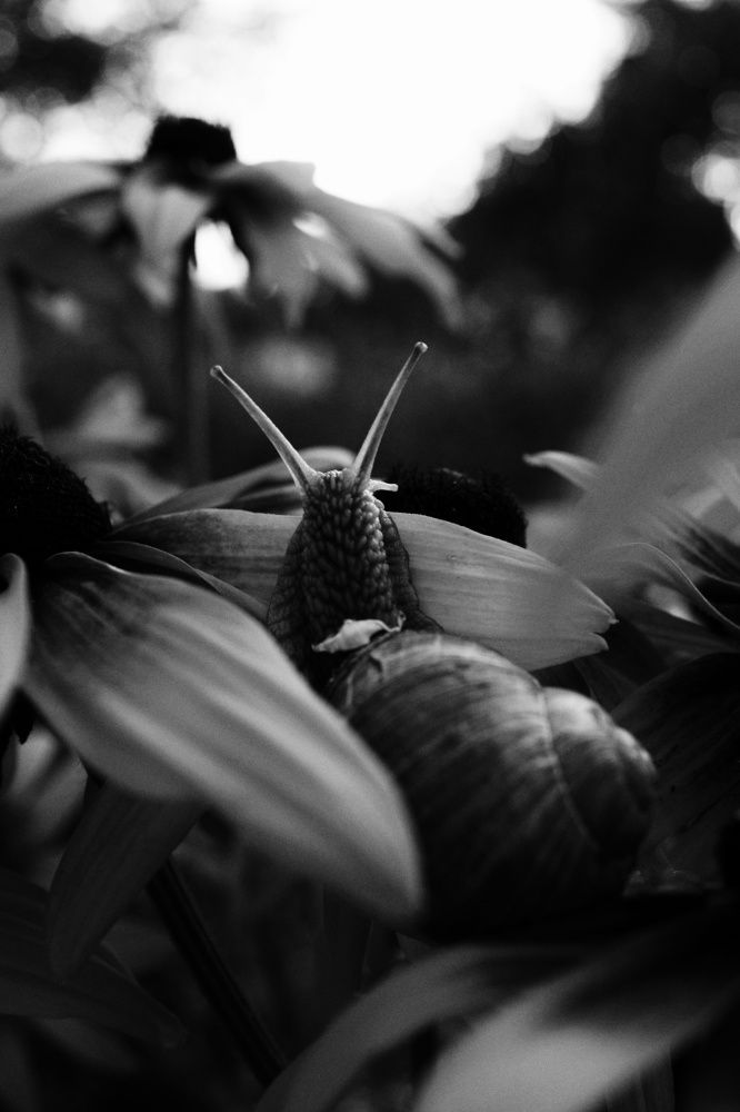 Photograph by Василий Селиванов