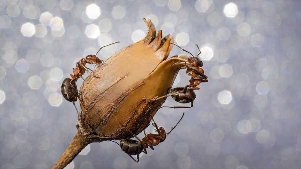 Photograph by Людмила Железнова