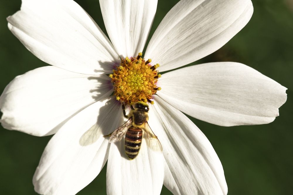 Photograph by Татьяна Алексеева