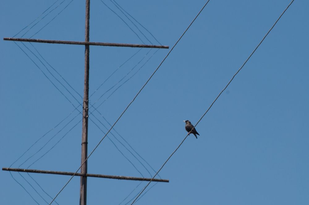 Photograph by Анастасия Рыбалко