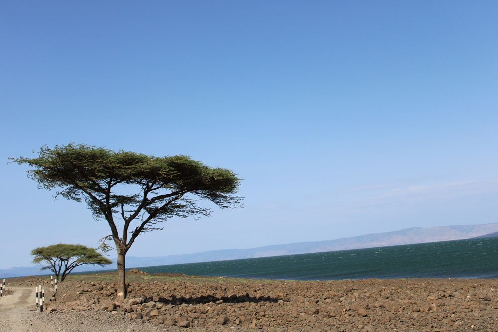 The Lake Turkana road