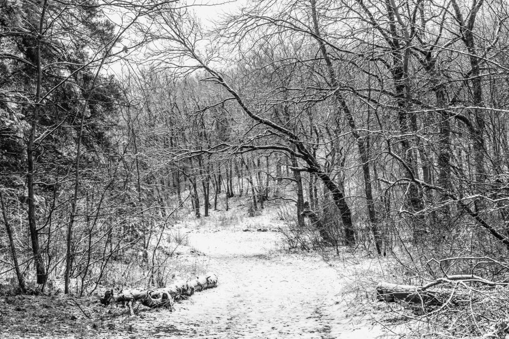 И вот приходит зима..