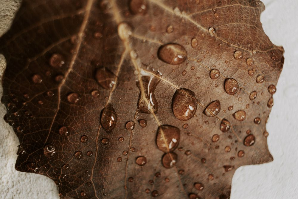 Photograph by Татьяна Алексеева