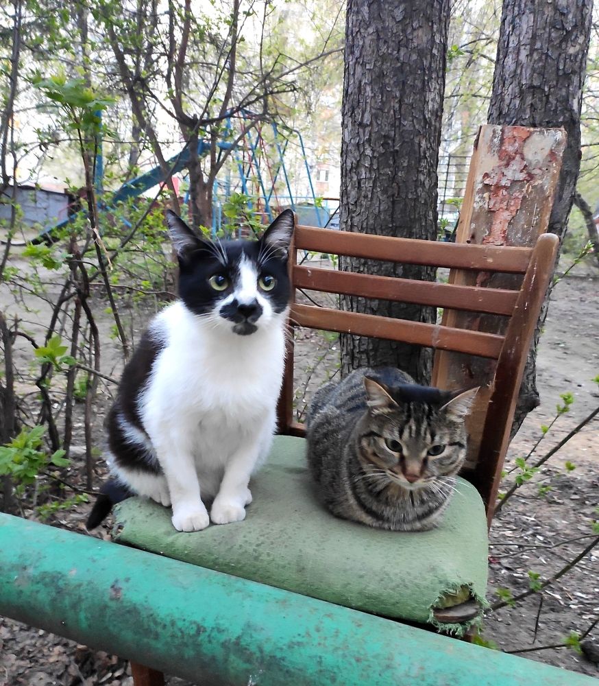 Photograph by Татьяна Гулакова