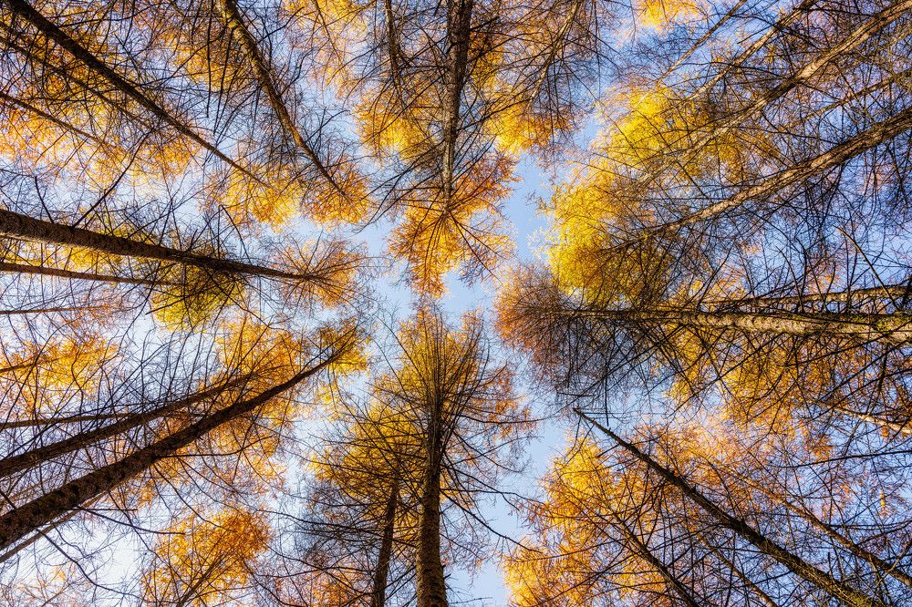 Photograph by yuan shengmei