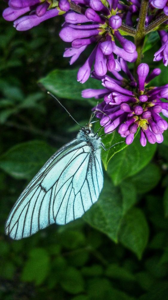 Photograph by Бехтерев Вадим