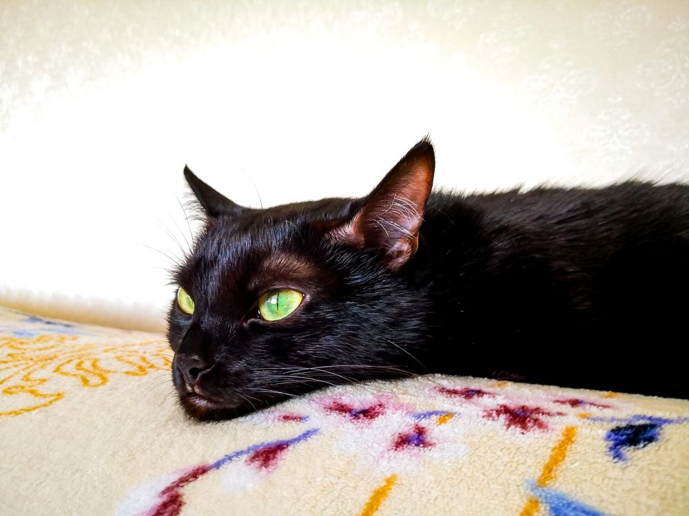 Photograph by Наталья