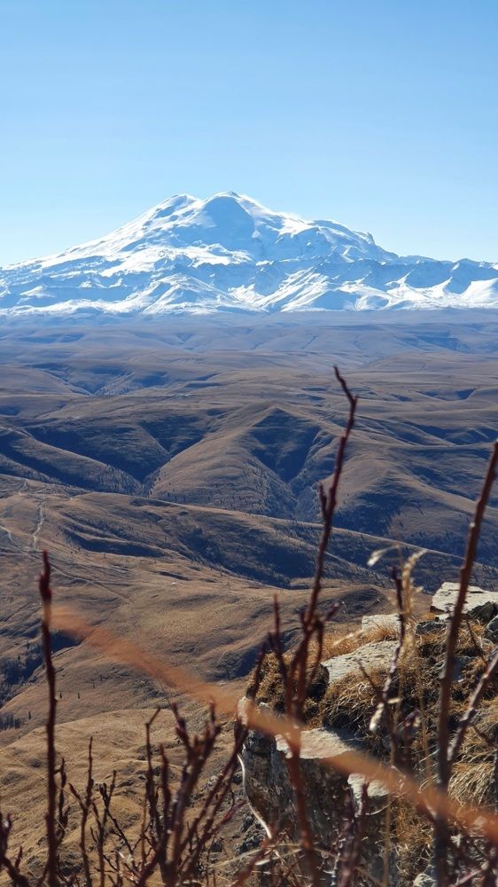 Photograph by Елизавета Елизарова