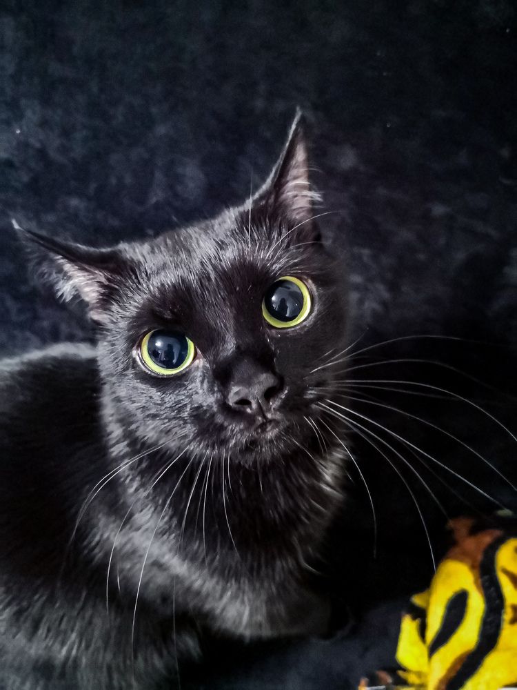 Photograph by Наталья