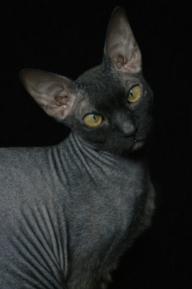 Photograph by Рондак Ульяна