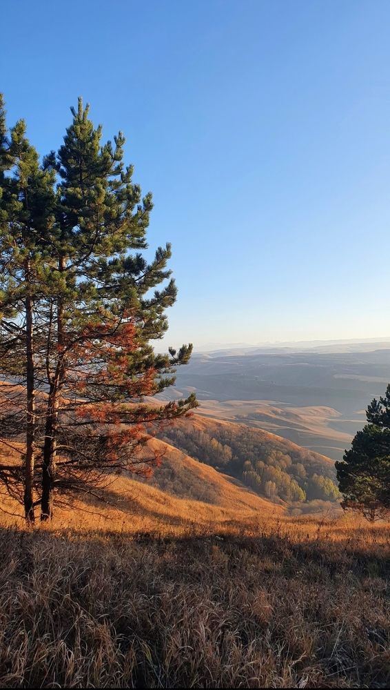 Photograph by Елизавета Елизарова