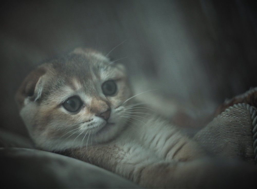 Photograph by Сенина Елена