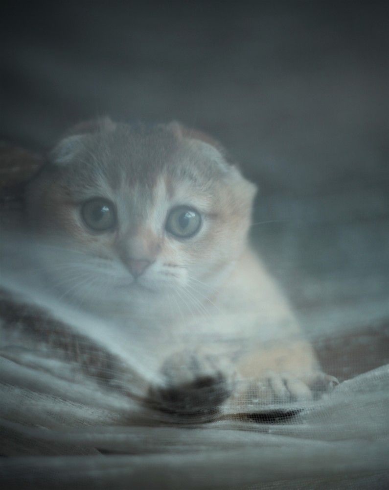 Photograph by Сенина Елена