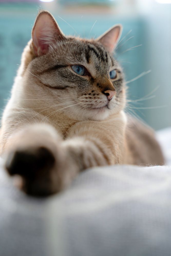 Photograph by Мария Акимова