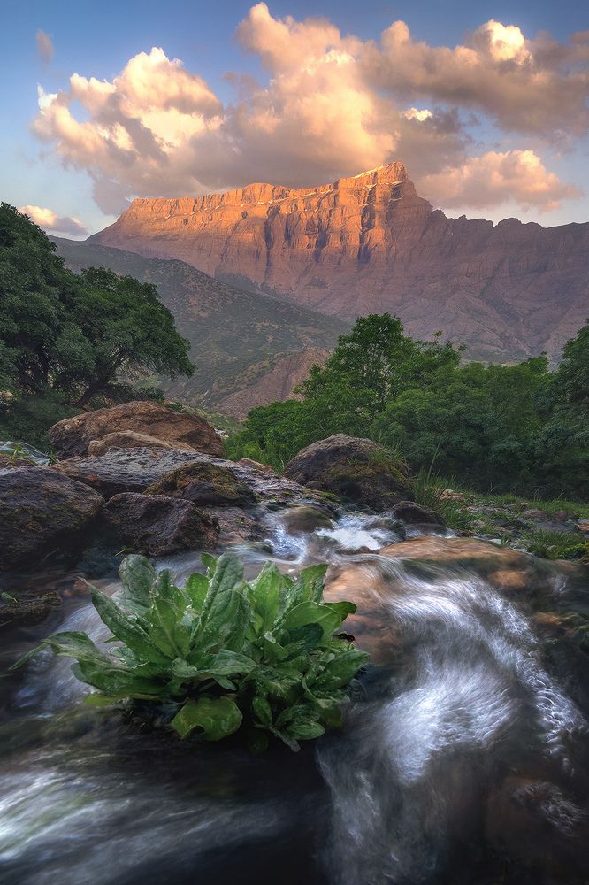 Photograph by Ahmad Mostafapour