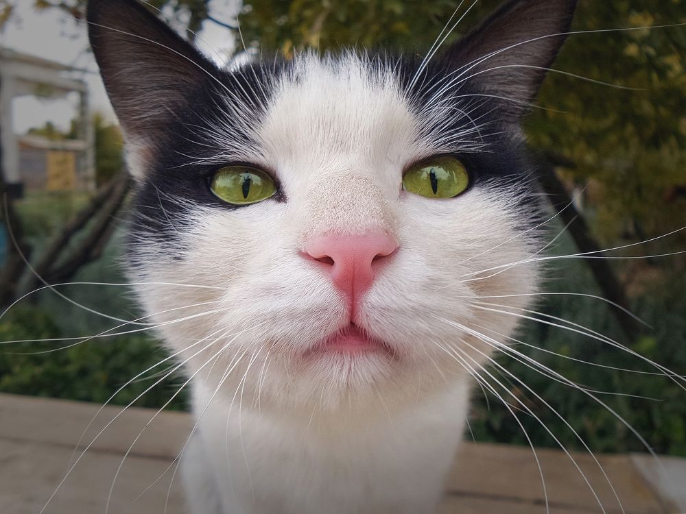 Photograph by sadegh alavi