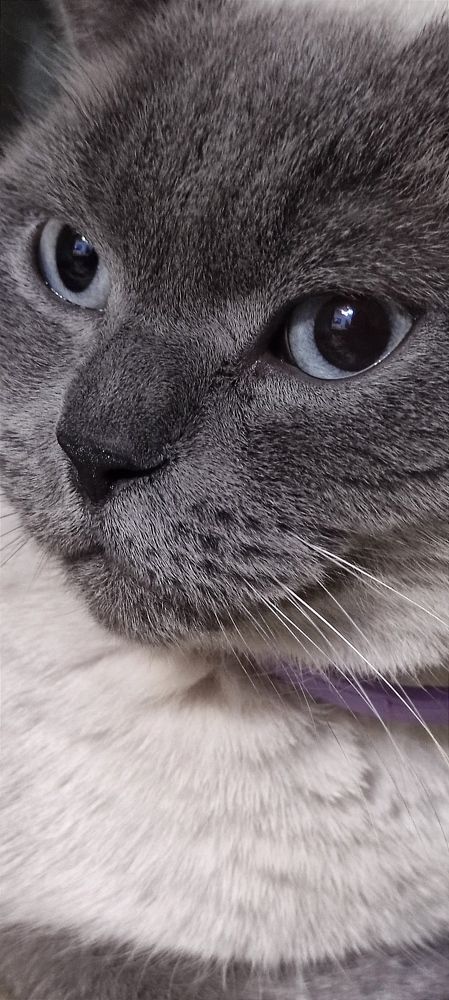 Фотография автора Васильева Ирина