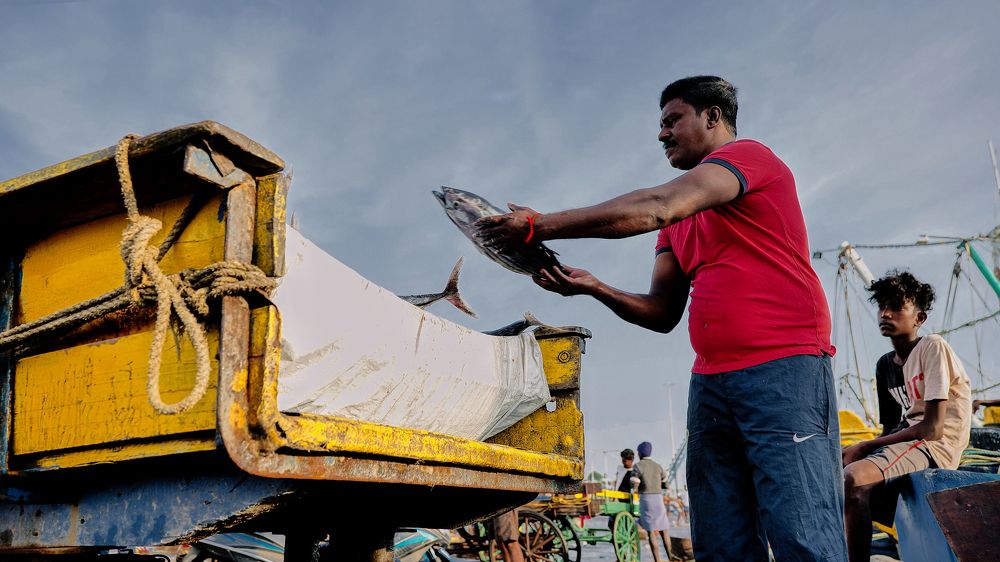 Photograph by Gopinath Duraisamy
