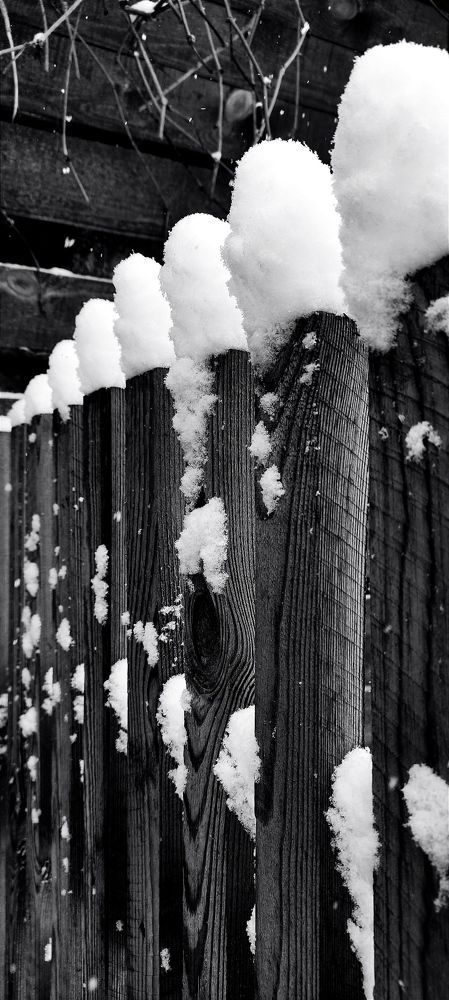 Фотография автора Васильева Ирина