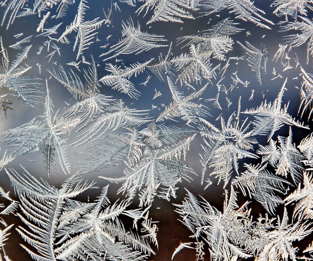 Photograph by Sergei Petrov