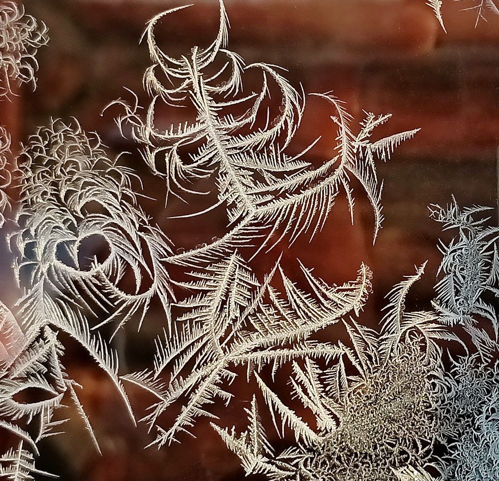 Photograph by Sergei Petrov