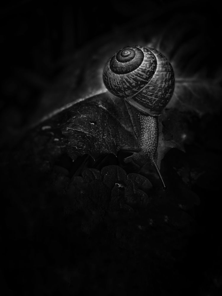 Photograph by Дарья Макаревич